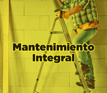 Albañilería y Pintura en general