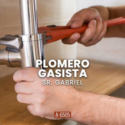 Plomero Gasista Matriculado • Sr. Gabriel