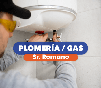 Plomería y Gas • Sr. Romano